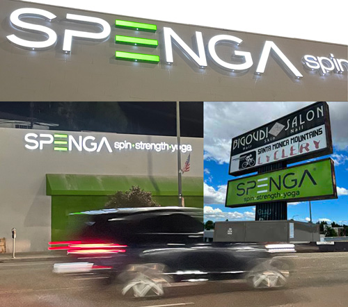 Spenga Gym